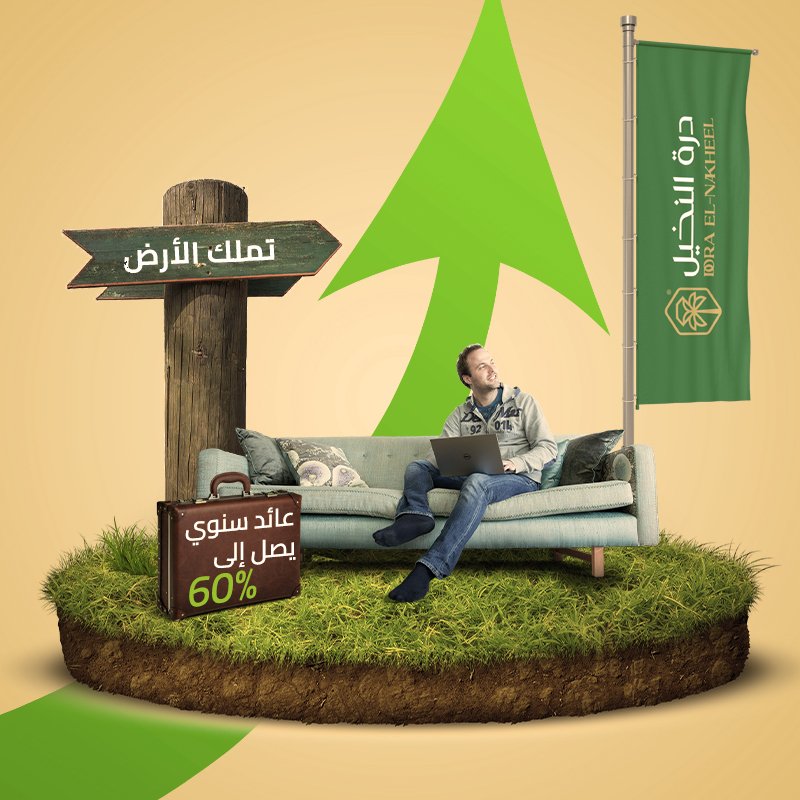 استثمر معنا في زراعة تمر المجدول لتحقق اعلى ربح ممكن