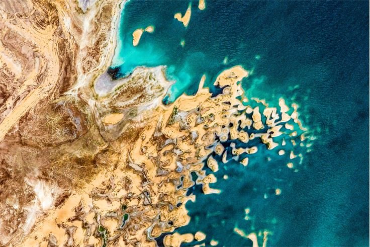 أفضل استثمار زراعي بمحافظة الوادي الجديد
