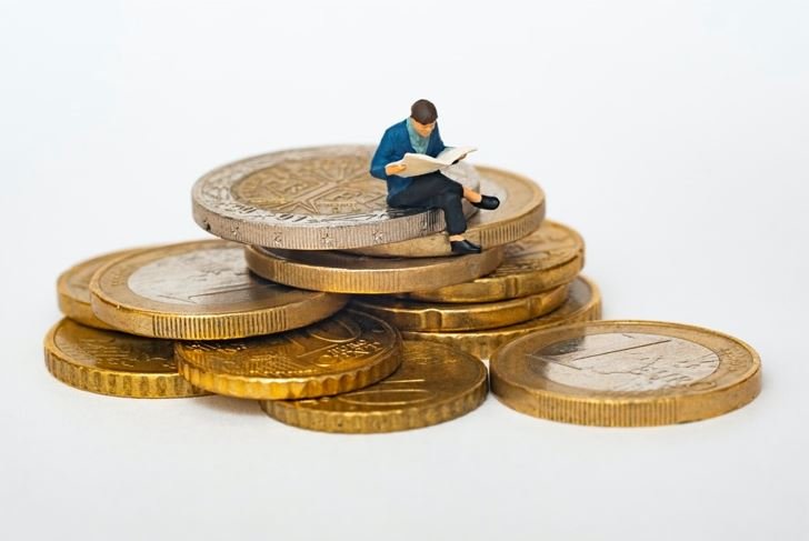 درة النخيل تضمن لتحقيق اعلى عائد ممكن