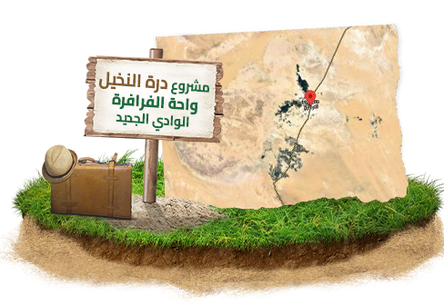 مشروع درة النخيل في واحة الفرافرة بالوادي الجديد